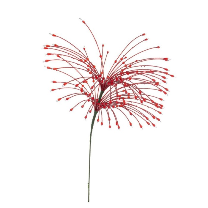 RAMO ZACARY ROSSO H.63